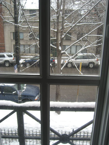 snowday Snowy day in Chicago